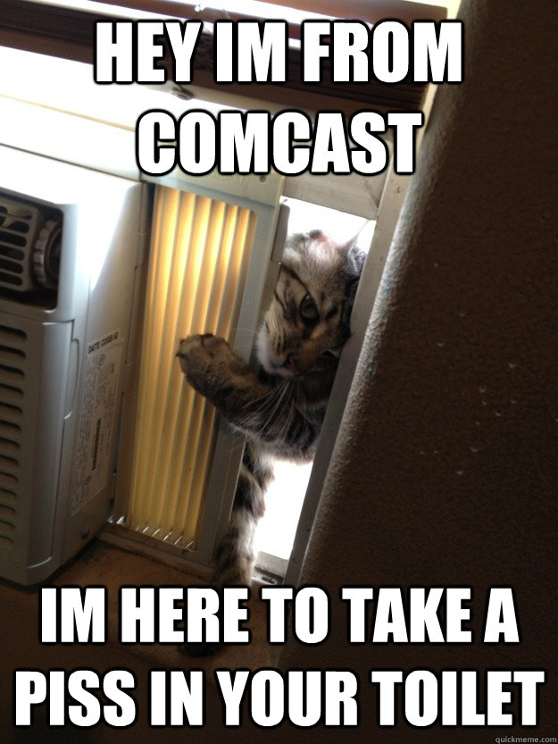 hey im from comcast im here to take a piss in your toilet - hey im from comcast im here to take a piss in your toilet  Jehovah Cat