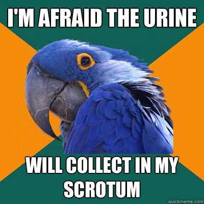i'm afraid the urine will collect in my scrotum   Paranoid Parrot