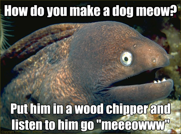 How do you make a dog meow? Put him in a wood chipper and listen to him go 