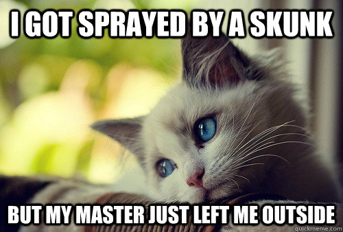 I got sprayed by a skunk  but my master just left me outside  First World Cat Problems