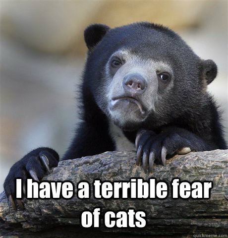  I have a terrible fear of cats  Confession Bear