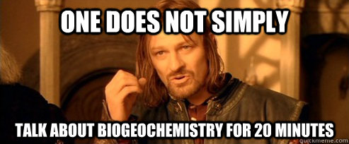 One does not simply TALK about biogeochemistry for 20 minutes  One Does Not Simply