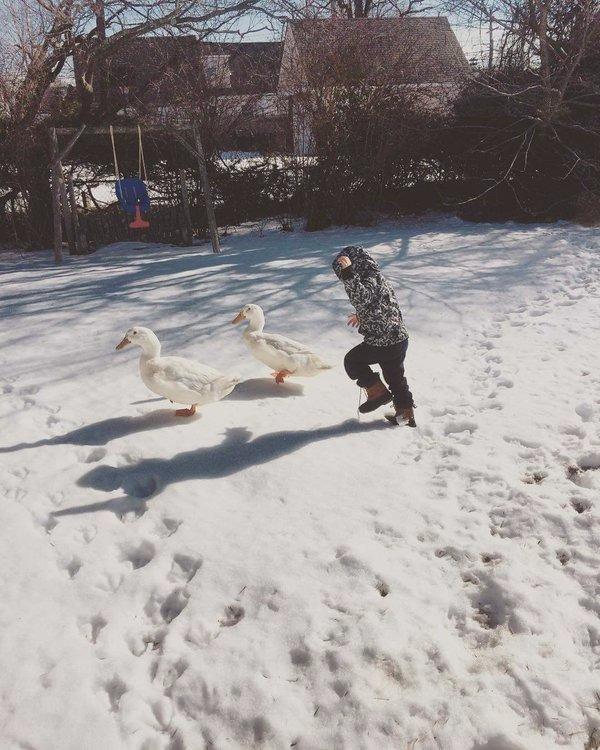 TAYLOR HOLZE PLAYS A MEAN GAME OF DUCK, DUCK, GOOSE!   Misc