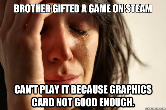 Brother gifted a game on Steam Can't play it because graphics card not good enough.  First World Problems