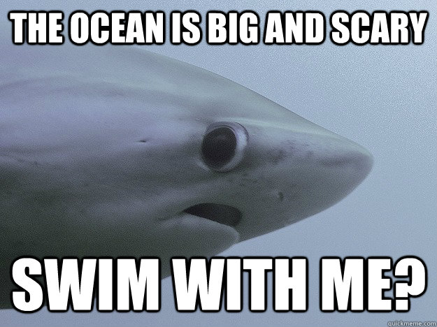 The ocean is big and scary swim with me?  