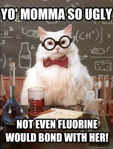 YO' MOMMA SO UGLY NOT EVEN FLUORINE WOULD BOND WITH HER!  