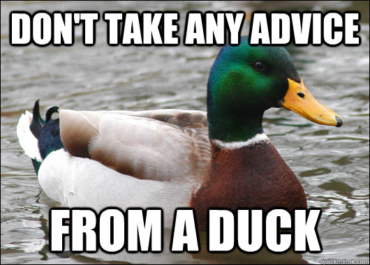 Don't take any advice From a duck  Actual Advice Mallard
