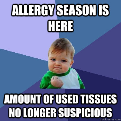 Allergy season is here Amount of used tissues no longer suspicious  Success Kid