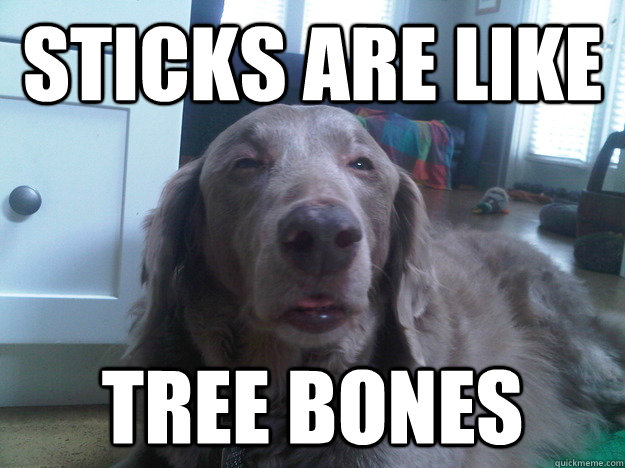 Sticks are like tree bones  