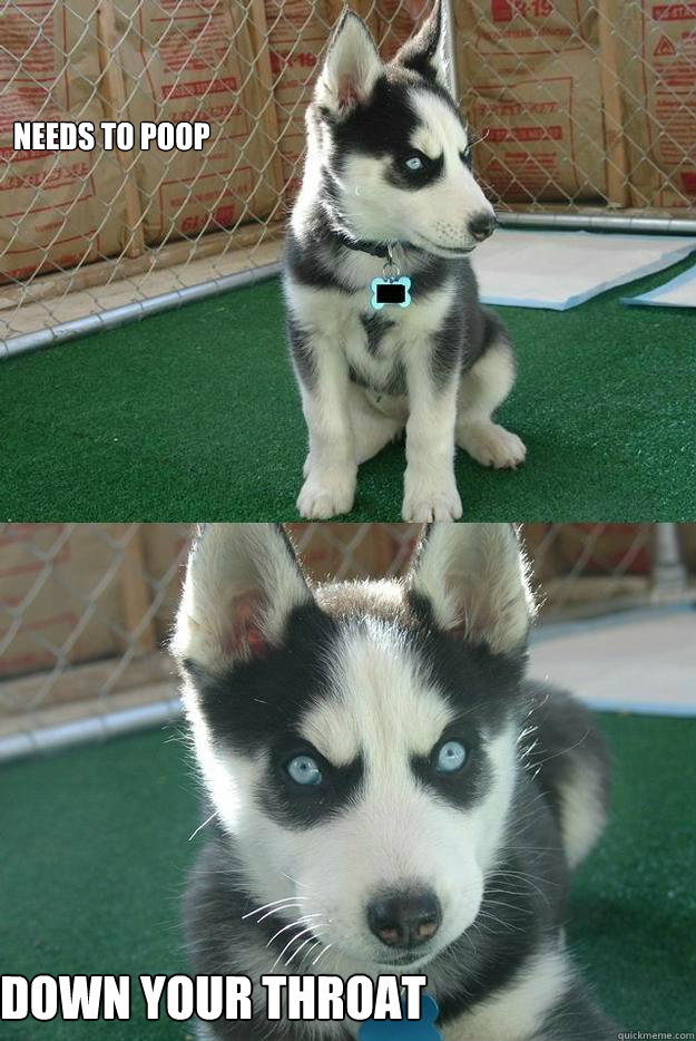 Needs to poop Down your throat  Insanity puppy