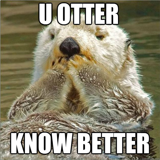 u otter know better - u otter know better  Upset otter