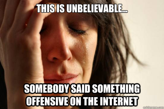 this is unbelievable... somebody said something offensive on the internet  First World Problems