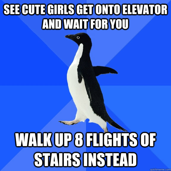 See cute girls get onto elevator and wait for you walk up 8 flights of stairs instead  Socially Awkward Penguin