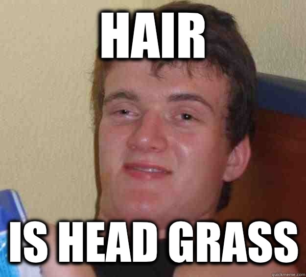 Hair Is head grass  10 Guy