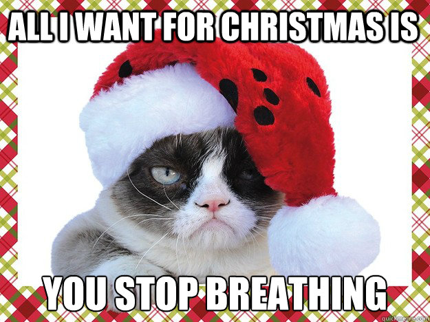 All i want for christmas is you stop breathing  A Grumpy Cat Christmas