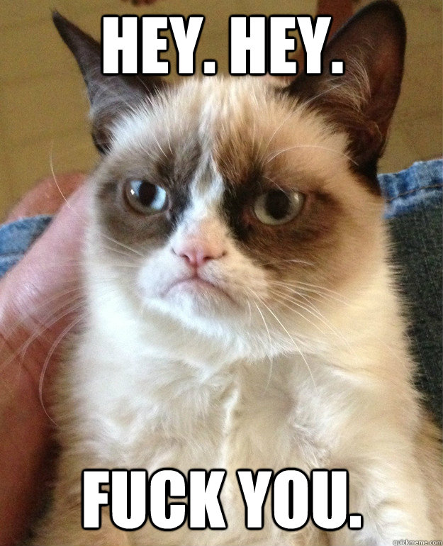 hey. hey. fuck you.  Grumpy Cat