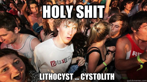 Holy Shit Lithocyst ... Cystolith    Sudden Clarity Clarence