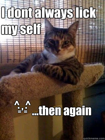 I dont always lick my self ^ , ^ ...then again =  = .   .  The Most Interesting Cat in the World