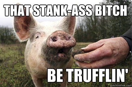 That Stank-Ass Bitch Be Trufflin'  