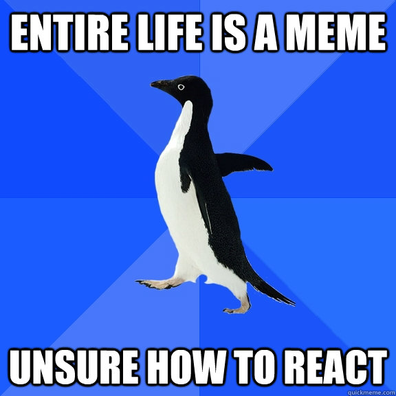 Entire life is a meme Unsure how to react  Socially Awkward Penguin