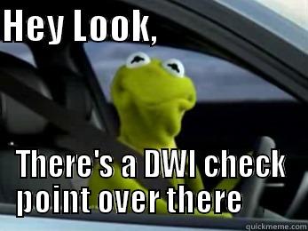 DWI Kermit - HEY LOOK,                      THERE'S A DWI CHECK POINT OVER THERE        Misc