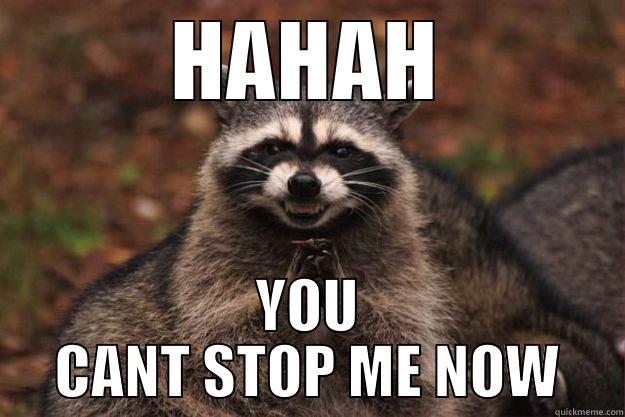 HAHAH YOU CANT STOP ME NOW Evil Plotting Raccoon