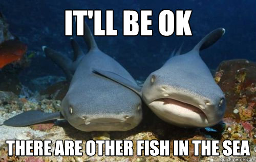 It'll be ok there are other fish in the sea  Compassionate Shark Friend