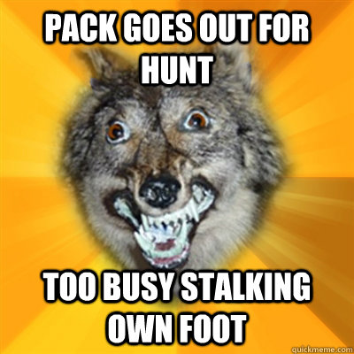 pack goes out for hunt too busy stalking own foot  Retarded Wolf
