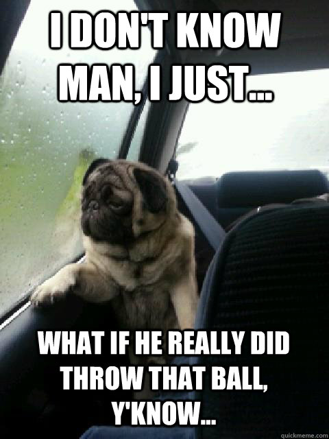 I don't know man, i just... What if he really did throw that ball, y'know... - I don't know man, i just... What if he really did throw that ball, y'know...  introspective pug on cesar millan