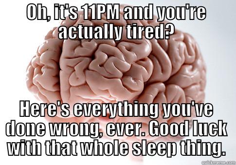 OH, IT'S 11PM AND YOU'RE ACTUALLY TIRED? HERE'S EVERYTHING YOU'VE DONE WRONG, EVER. GOOD LUCK WITH THAT WHOLE SLEEP THING. Scumbag Brain