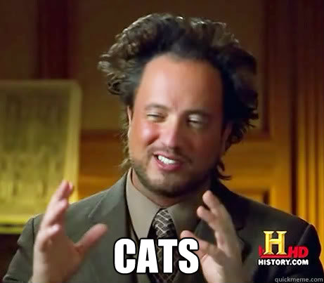 CATS  Ancient Alien Guy
