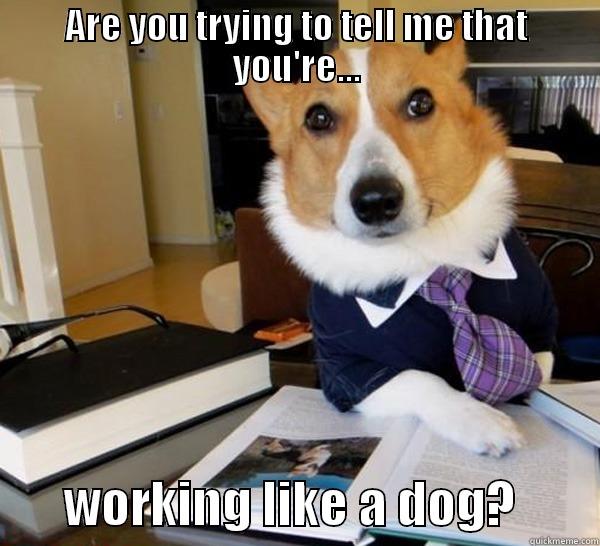 ARE YOU TRYING TO TELL ME THAT YOU'RE...        WORKING LIKE A DOG?        Lawyer Dog