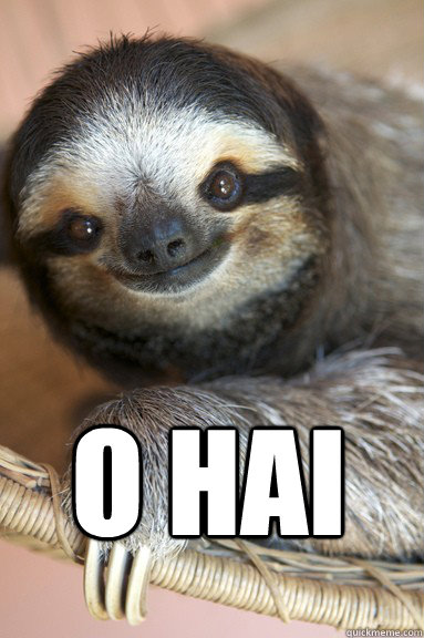 O HAI - O HAI  sloth o hai