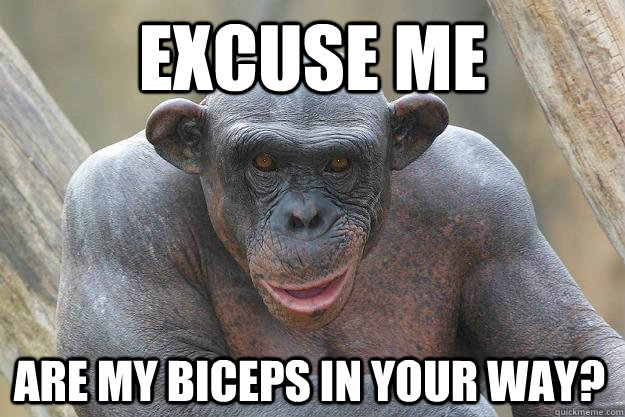 Excuse me are my biceps in your way?  The Most Interesting Chimp In The World