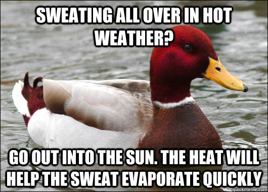 Sweating all over in hot weather? Go out into the sun. The heat will help the sweat evaporate quickly - Sweating all over in hot weather? Go out into the sun. The heat will help the sweat evaporate quickly  Malicious Advice Mallard