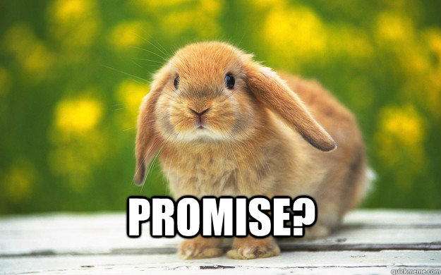 Promise? - Promise?  Cute bunny