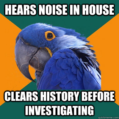 Hears noise in house Clears history before investigating  Paranoid Parrot