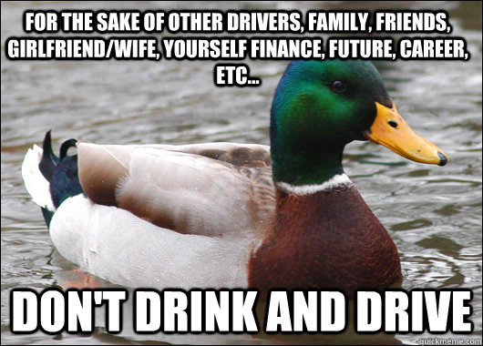 For the sake of other drivers, family, friends, girlfriend/wife, yourself finance, future, career, etc... Don't drink and drive  Actual Advice Mallard