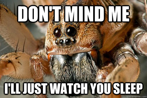 Don't mind me I'll just watch you sleep - Don't mind me I'll just watch you sleep  creepy spider