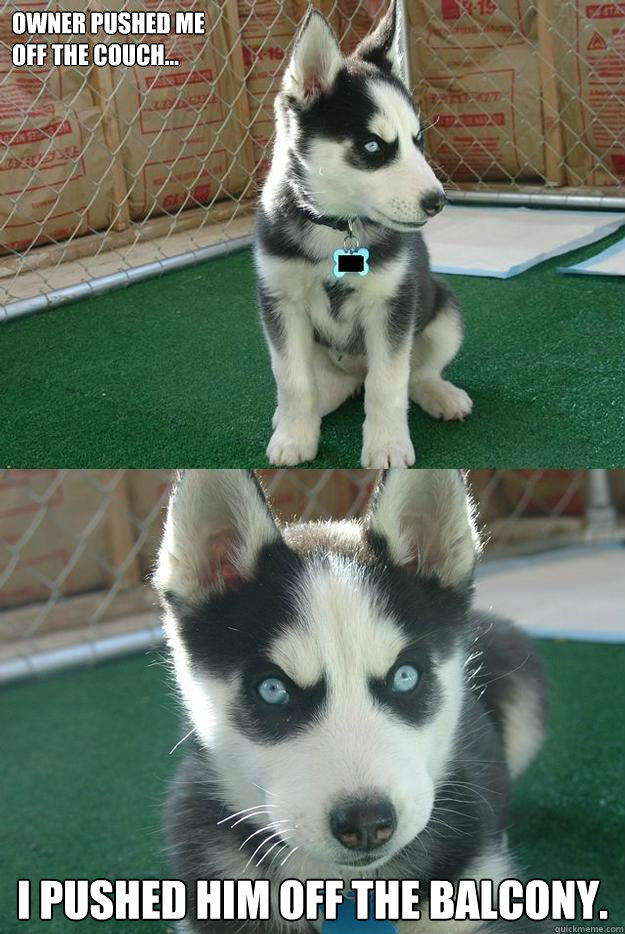 Owner pushed me
off the couch... I pushed him off the balcony. - Owner pushed me
off the couch... I pushed him off the balcony.  Insanity puppy