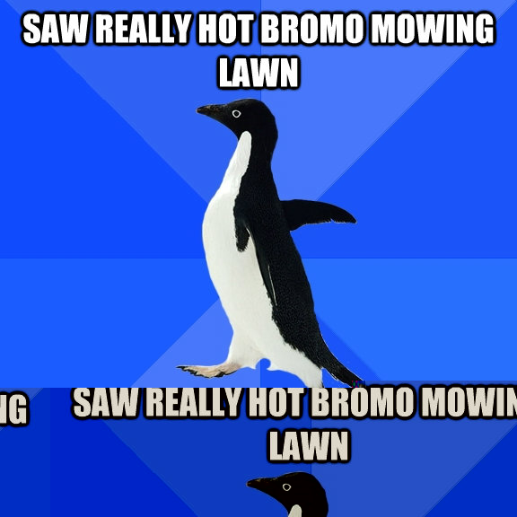 Saw really hot bromo mowing lawn Walked by with my head down to avoid eye contact  Socially Awkward Penguin