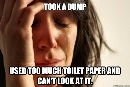 Took a dump Used too much toilet paper and can't look at it.  First World Problems