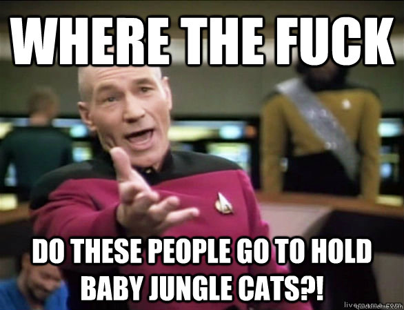 where the fuck do these people go to hold baby jungle cats?!  Annoyed Picard HD