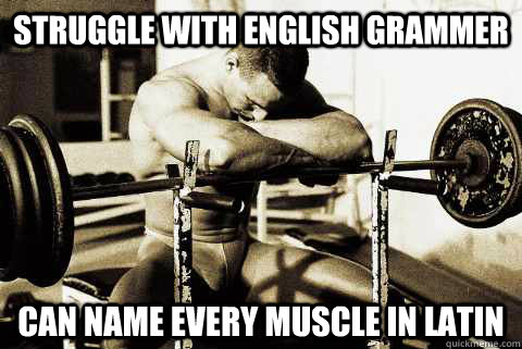 Struggle with english grammer can name every muscle in latin  