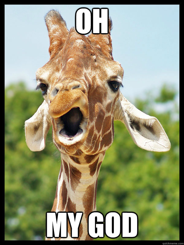 Oh  my god - Oh  my god  Giraffe
