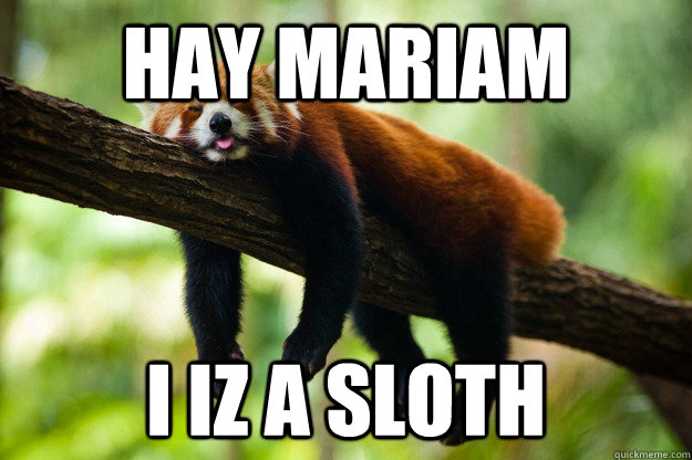 Hay Mariam I iz a sloth - Hay Mariam I iz a sloth  Misc