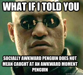 what if i told you Socially awkward penguin does not mean caught at an awkward moment penguin  Matrix Morpheus