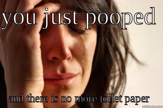 YOU JUST POOPED  AND THERE IS NO MORE TOILET PAPER  First World Problems