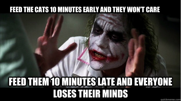 Feed the cats 10 minutes early and they won't care feed them 10 minutes late and everyone loses their minds  Joker Mind Loss