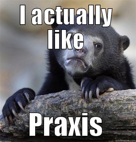 I ACTUALLY LIKE PRAXIS Confession Bear